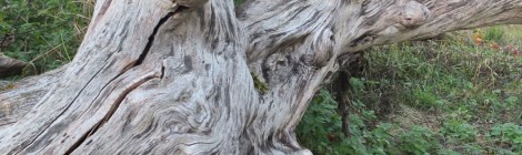 Herbstwandern im Recknitztal