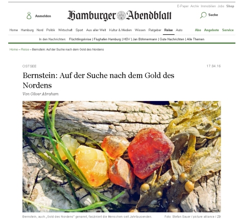 HamburgerAbendblatt2016-04-17