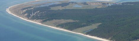 WWF-Erlebnistour: Der Darß - einzigartige Küstenlandschaft