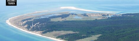 WWF-Erlebnistour: Der Darß - einzigartige Küstenlandschaft