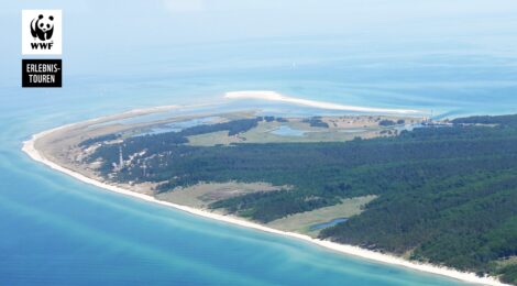 WWF-Erlebnistour: Der Darß - einzigartige Küstenlandschaft